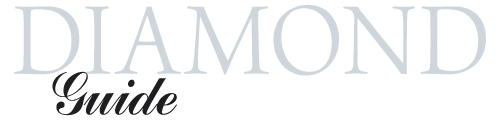 logo_DIG